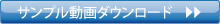 ץ